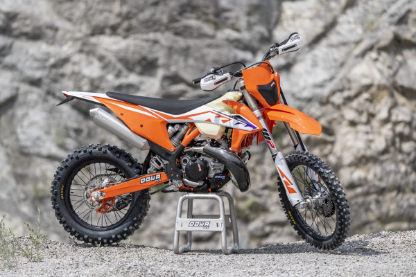 SALE: Protezione del collettore in carbonio, protezione del bulbo di scarico, protezione della bolla (KTM/Husqvarna/GasGas)