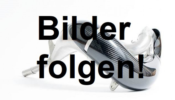 Carbon Krümmerschutz, Auspuff Birnenschutz, Blasenschutz (Beta)